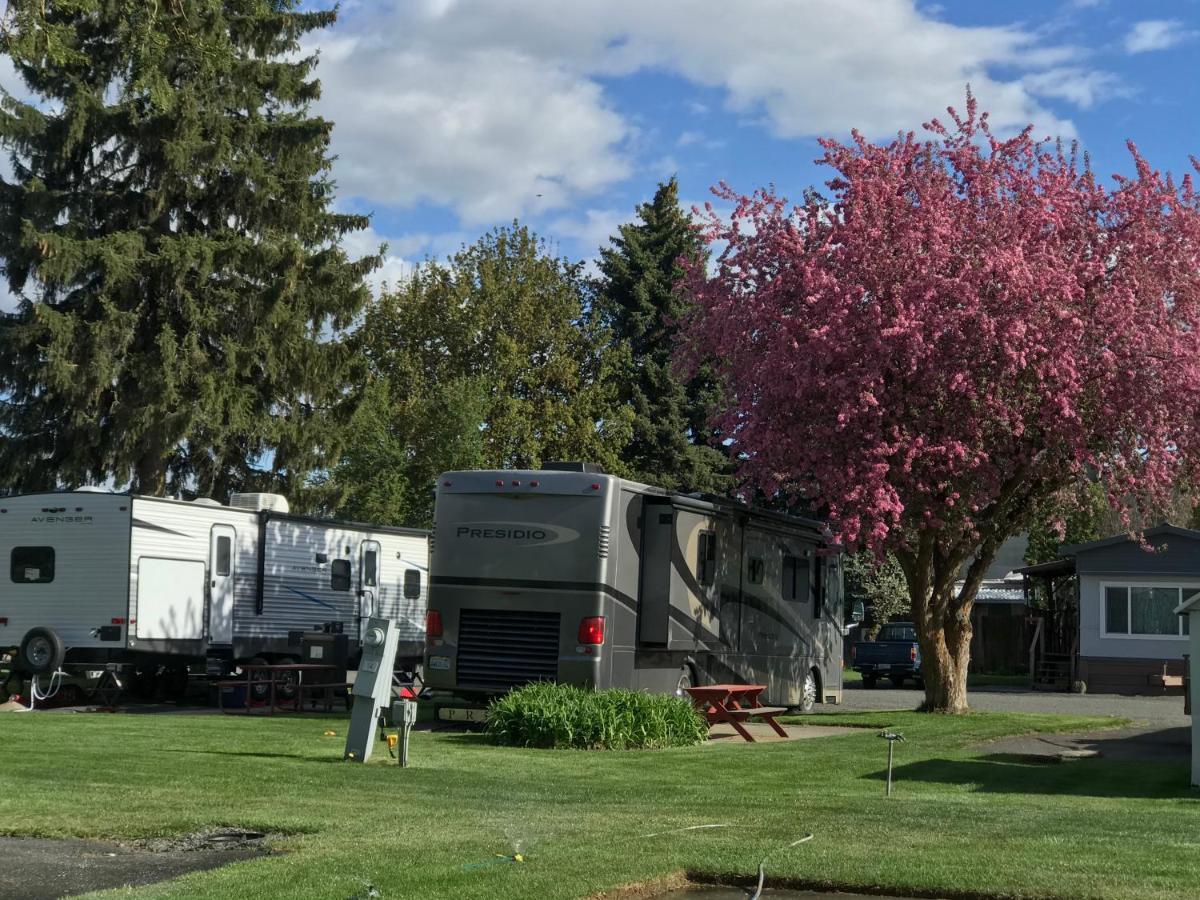 Goose Creek Rv Park & Campground Wilbur Exterior foto